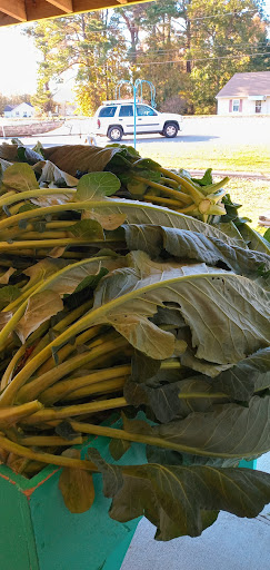 Produce Market «Poor Boys Produce & Vegetable», reviews and photos, 263 US-158, Camden, NC 27921, USA