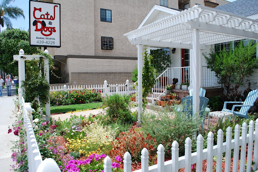 Cats & Dogs Animal Hospital image