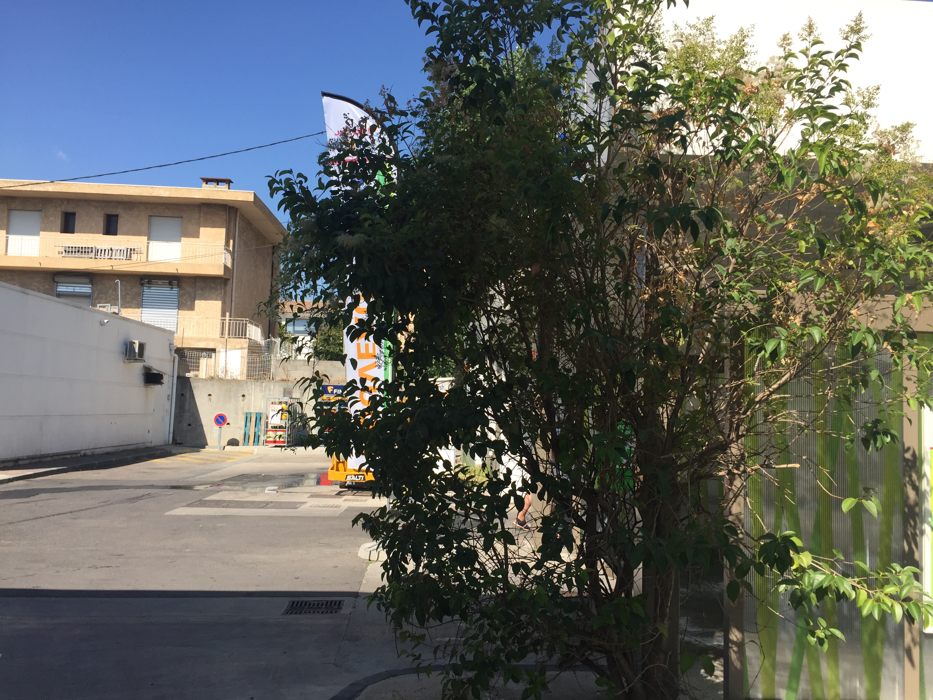 Photo n° 5 de l'avis de Woosuk. fait le 19/08/2019 à 08:48