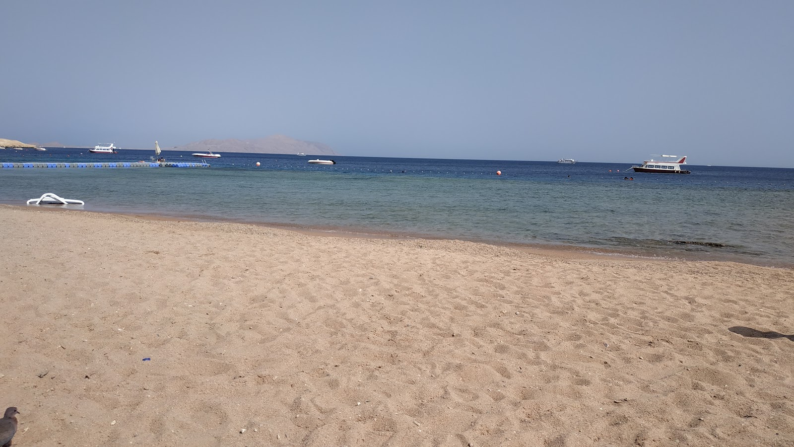 Foto di Shark Bay beach - luogo popolare tra gli intenditori del relax