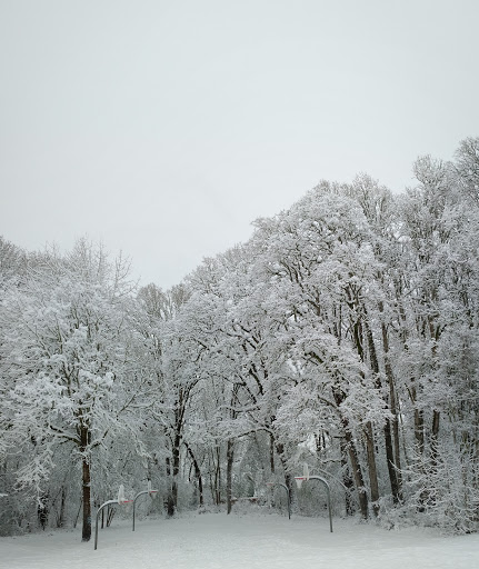 Park «Melilah Park», reviews and photos, SW 182nd Ave, Aloha, OR 97006, USA