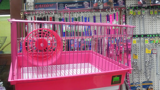 Pet Store «Pettin Place», reviews and photos, 1121 S Wells Ave, Reno, NV 89502, USA