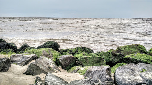 National Park «Jacob Riis Park (Gateway National Recreation Area)», reviews and photos, Rockaway Beach Blvd, Rockaway Park, NY 11694, USA