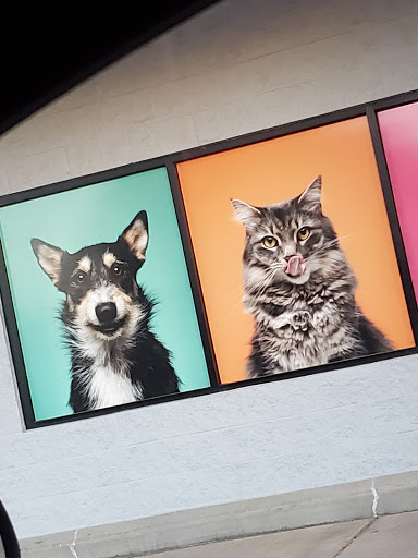 Pet Supply Store «PetSmart», reviews and photos, 1421 Carl D Silver Parkway, Fredericksburg, VA 22401, USA