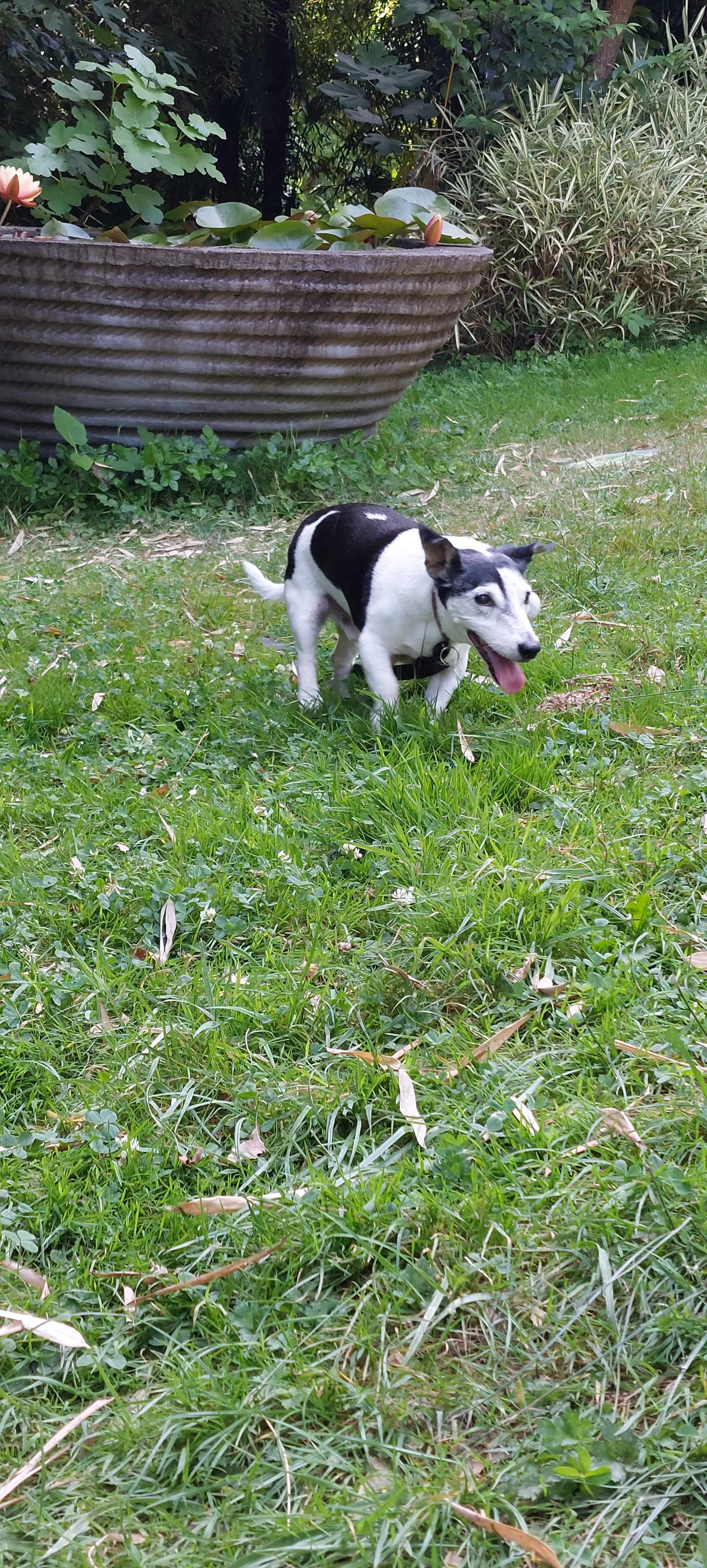 Photo n° 25 de l'avis de YAN. fait le 15/08/2023 à 17:00