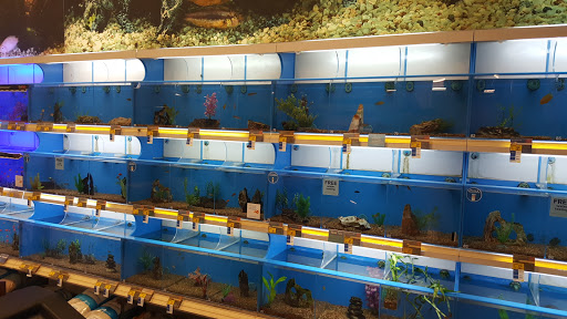 Pet Supply Store «PetSmart», reviews and photos, 10261 River Marsh Dr #143, Jacksonville, FL 32246, USA