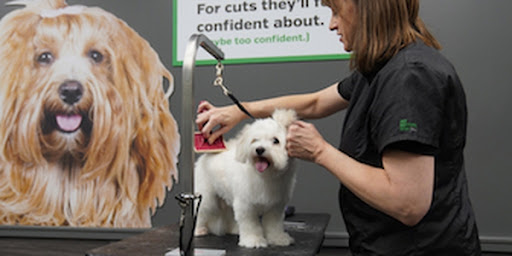 Pet Supply Store «Pet Supplies Plus», reviews and photos, 873 S Main St, Lapeer, MI 48446, USA