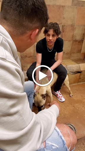 Pet Supply Store «PetSmart», reviews and photos, 2901 Texas Sage Trail, Fort Worth, TX 76177, USA