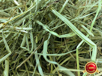 Rabbit Hole Hay - Photo 5 - Car repair in Chico, CA, Chico