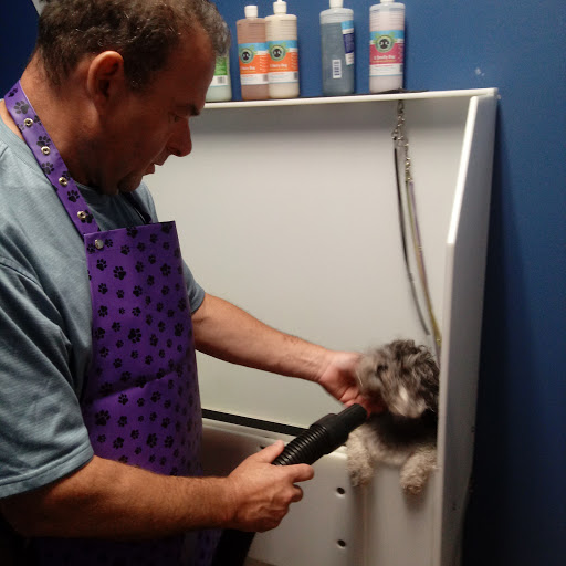 Pet Store «Super Dogs & Cats», reviews and photos, 380 Elm St, Biddeford, ME 04005, USA