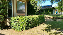 Piñon Lanscape Restoration - Photo 8 - Car repair in , Redding