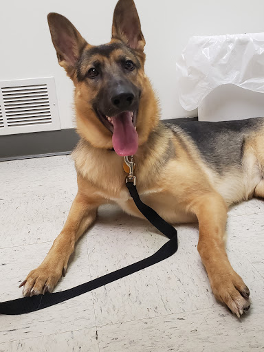 Long Prairie Veterinary Clinic