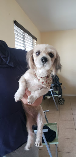 Dog House Pet Grooming