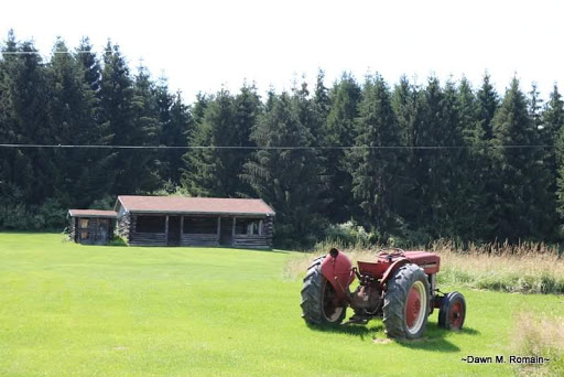 Winery «O-Neh-Da and Eagle Crest Vineyards», reviews and photos, 7107 Vineyard Rd, Conesus, NY 14435, USA