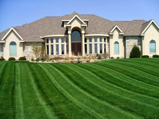 Pure Green Lawn and Tree Professionals