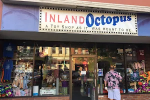 Inland Octopus image
