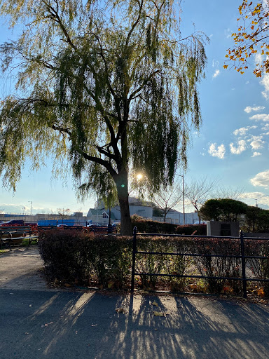 Park «Asser Levy Park», reviews and photos, 302 Sea Breeze Ave, Brooklyn, NY 11224, USA