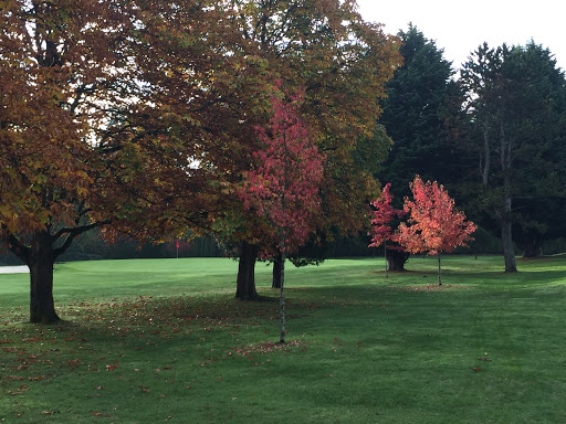 Park «West Seattle Golf Course», reviews and photos, 4600 35th Ave SW, Seattle, WA 98126, USA