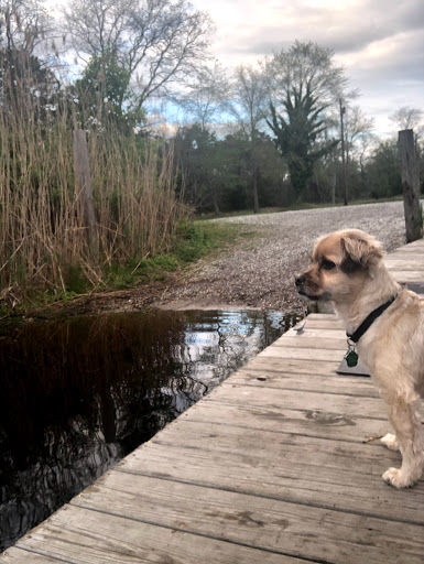 Park «Malaga Lake Park», reviews and photos, 445 Malaga Park Dr, Malaga, NJ 08328, USA