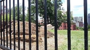 Elmwood Park - photo 76
