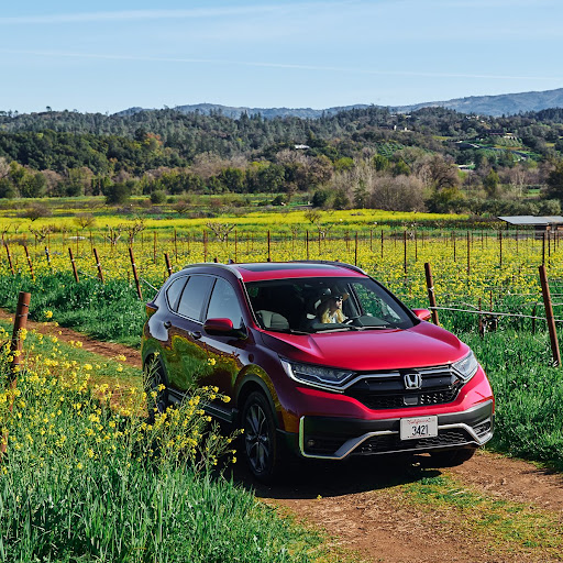 Honda Dealer «Honda Redwood City», reviews and photos, 601 El Camino Real, Redwood City, CA 94063, USA