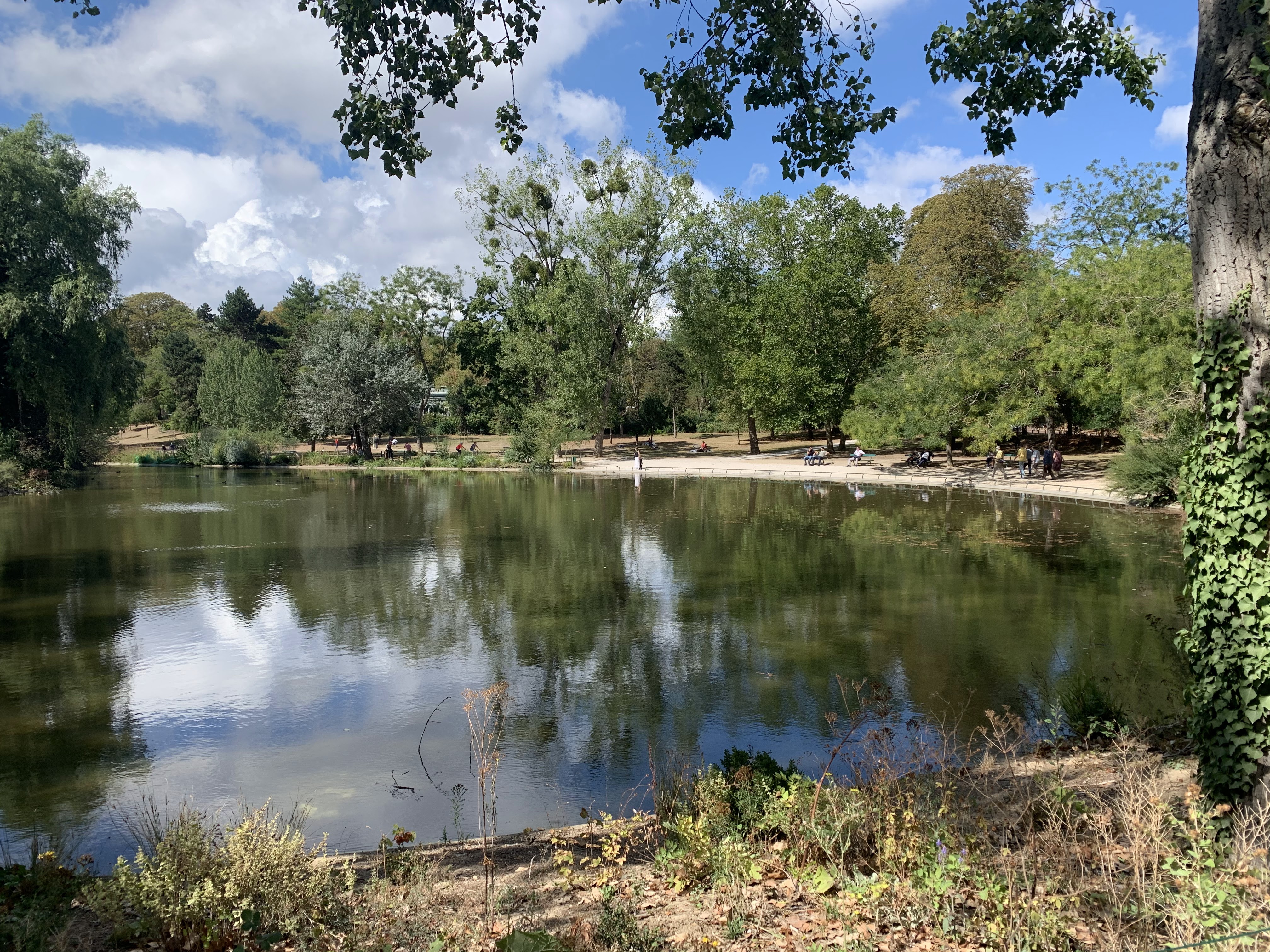 Photo n° 7 de l'avis de Laurent. fait le 30/08/2020 à 16:22