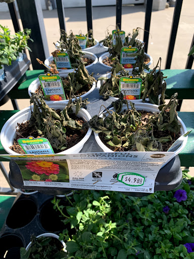 Department Store «Walmart Supercenter», reviews and photos, 200 Academy Dr, Ripley, WV 25271, USA