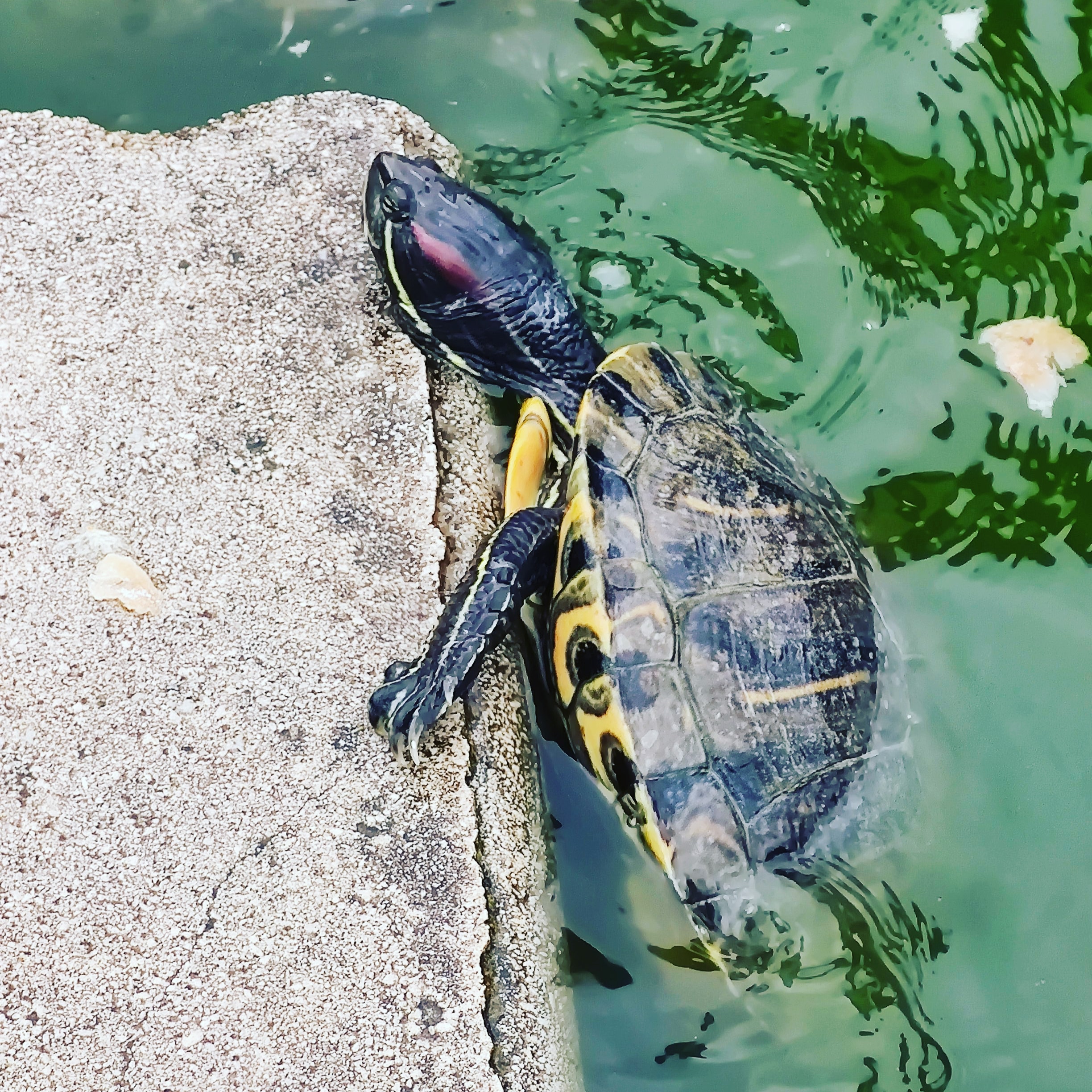 Photo n° 2 de l'avis de Renald.r fait le 16/07/2020 à 18:31