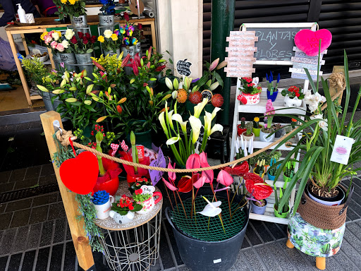 Aromas De Amarak By Laura Floristeria