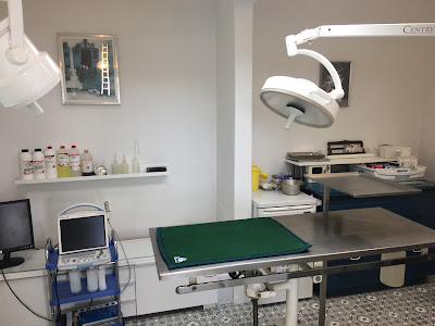 CABINET VÉTÉRINAIRE MEDICO-CHIRURGICAL DR BOUTTER à Jargeau