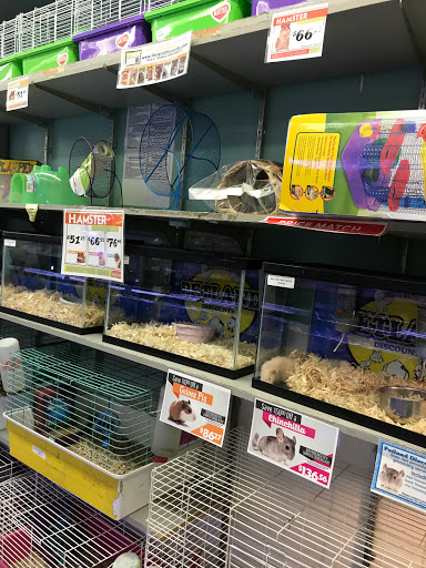 Pet Store «Petland Discounts - Parkchester», reviews and photos, 1949 Westchester Ave, Bronx, NY 10462, USA