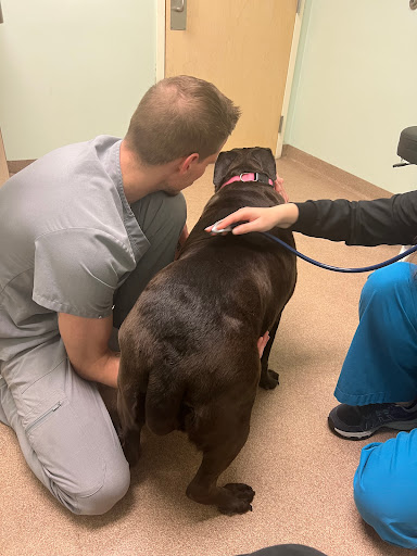 Zebulon Animal Hospital image