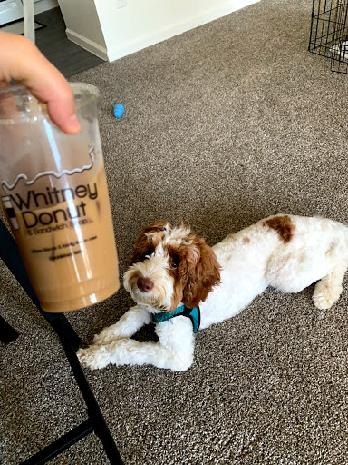 Donut Shop «Whitney Donut Shop», reviews and photos, 2574 Whitney Ave, Hamden, CT 06518, USA