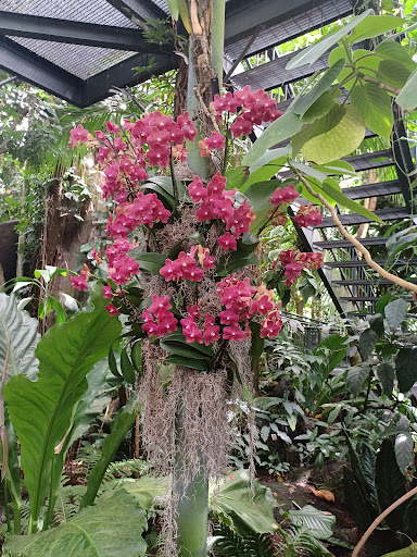 Gift Shop «NYBG Shop», reviews and photos, 2900 Southern Blvd, Bronx, NY 10458, USA