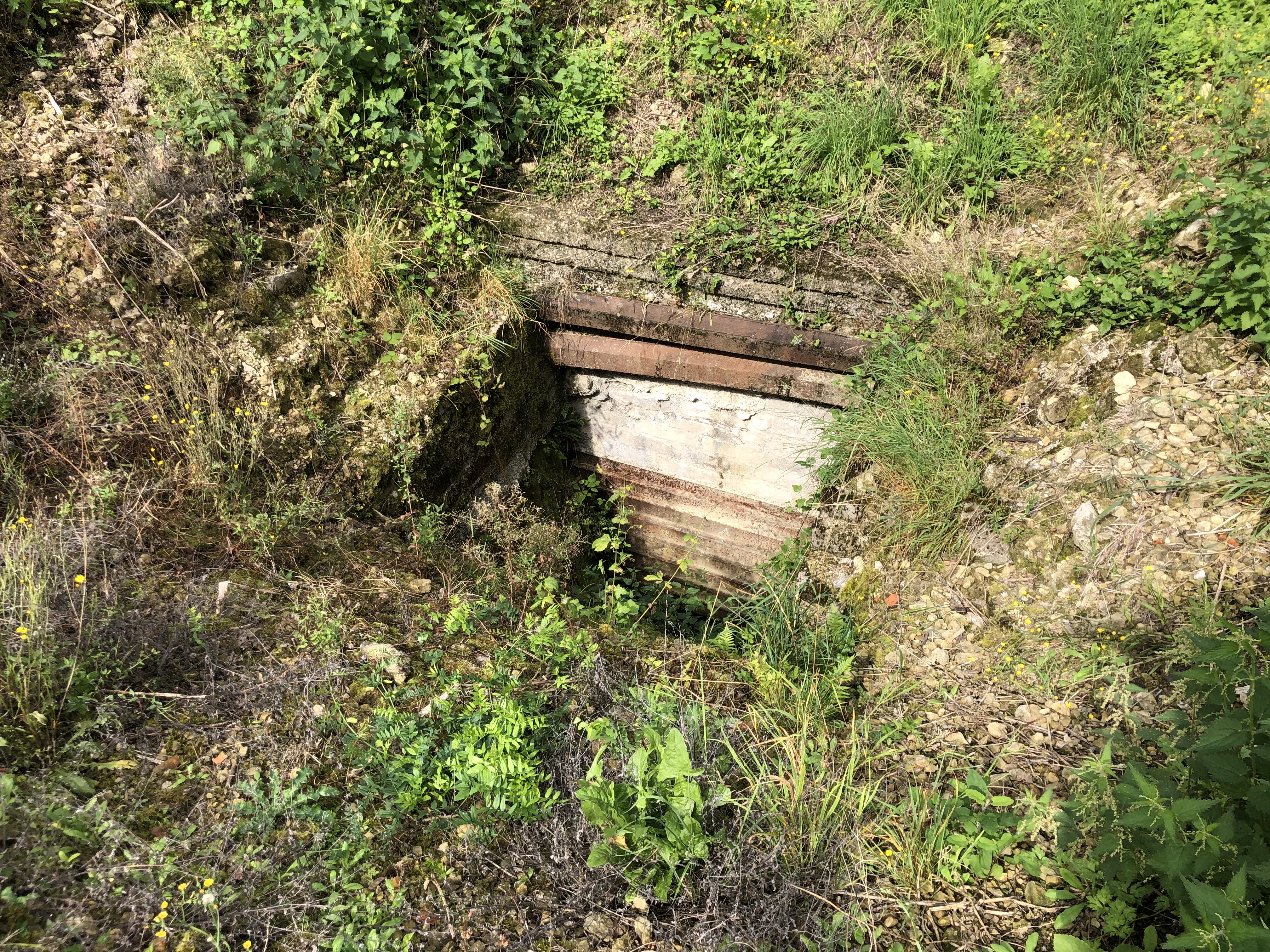 Photo n° 2 de l'avis de Barroness.y fait le 26/08/2021 à 14:17