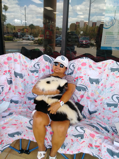 Pet Supply Store «Pet Supermarket South Pasadena», reviews and photos, 6892 Gulfport Blvd S #1000, South Pasadena, FL 33707, USA