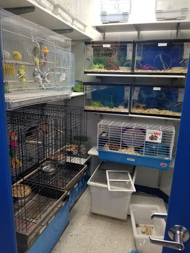 Pet Store «Petland Discounts - Willoughby», reviews and photos, 72 Willoughby St, Brooklyn, NY 11201, USA