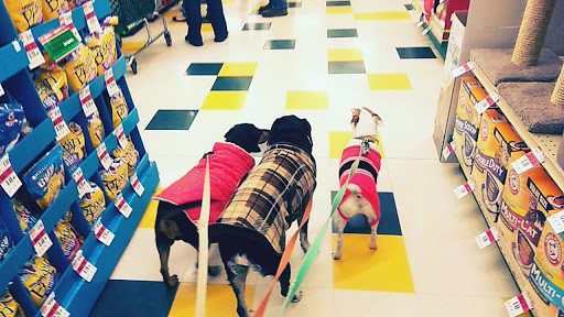 Pet Supply Store «Pet Supplies Plus», reviews and photos, 2649 E Grand River Ave, Howell, MI 48843, USA