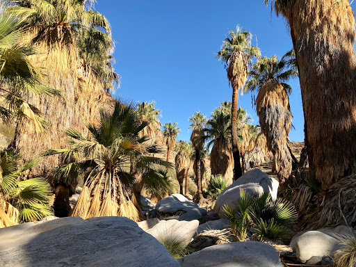 Tourist Attraction «Indian Canyons», reviews and photos, 38520 S Palm Canyon Dr, Palm Springs, CA 92264, USA