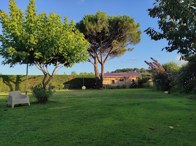 O. Plachot à Messanges
