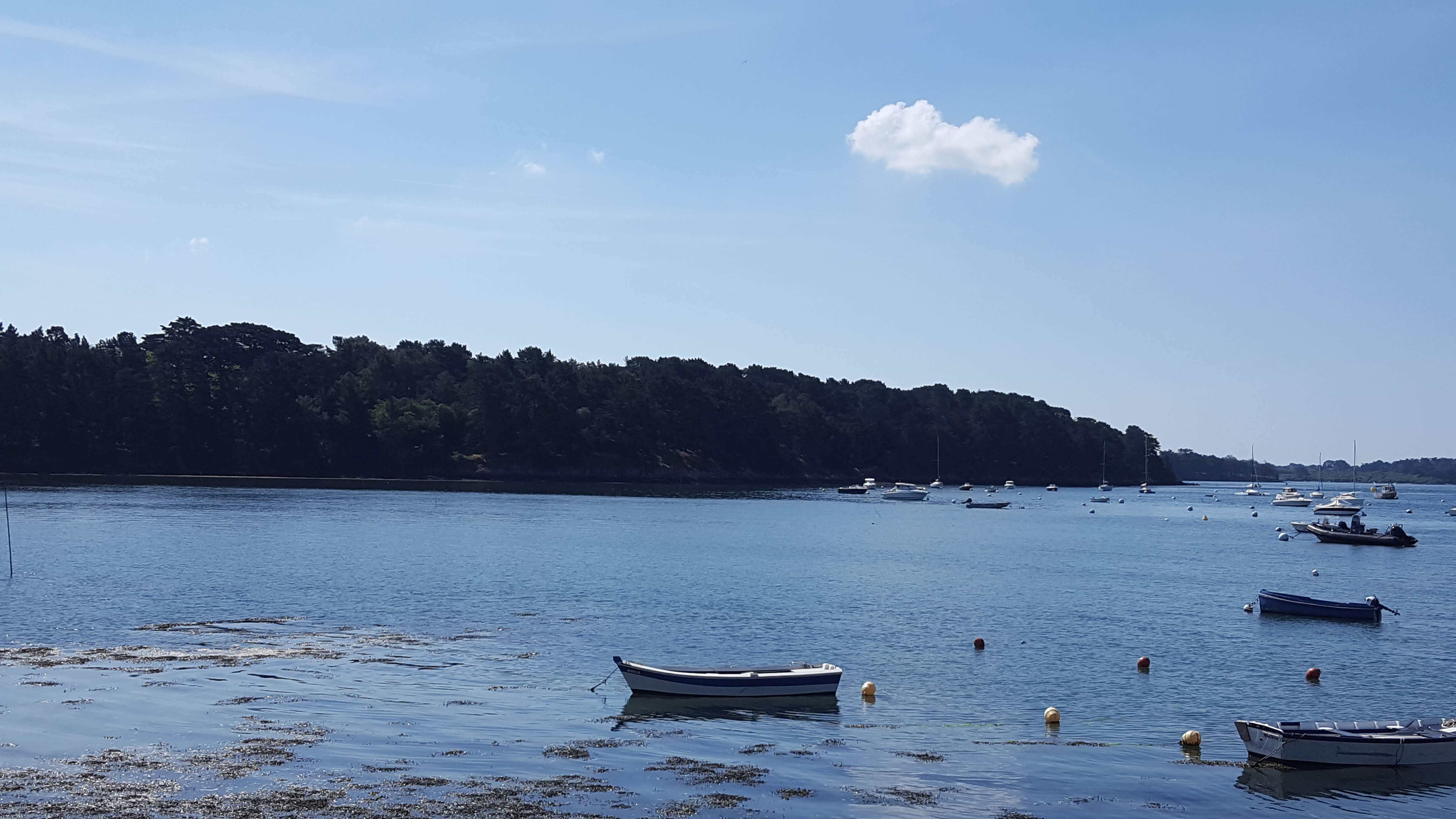 Photo n° 4 de l'avis de Corinne.e fait le 12/05/2019 à 18:51
