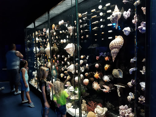 Sporting Goods Store «Bass Pro Shops», reviews and photos, 1935 S Campbell Ave, Springfield, MO 65807, USA