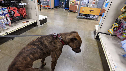 Pet Supply Store «PetSmart», reviews and photos, 2216 E Springs Dr, Madison, WI 53704, USA