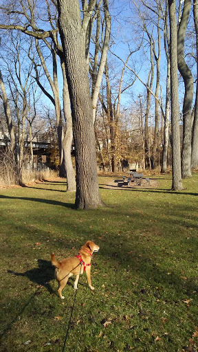 Park «Bonnie Park», reviews and photos, Bonnie Park Dr, Strongsville, OH 44136, USA