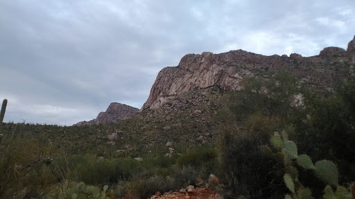 Tourist Attraction «Linda Vista Trail», reviews and photos, 730 E Linda Vista Rd, Oro Valley, AZ 85737, USA
