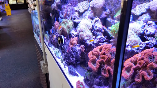 Pet Store «Tanks A Lot Aquariums», reviews and photos, 6680 Lantana Rd, Lake Worth, FL 33467, USA