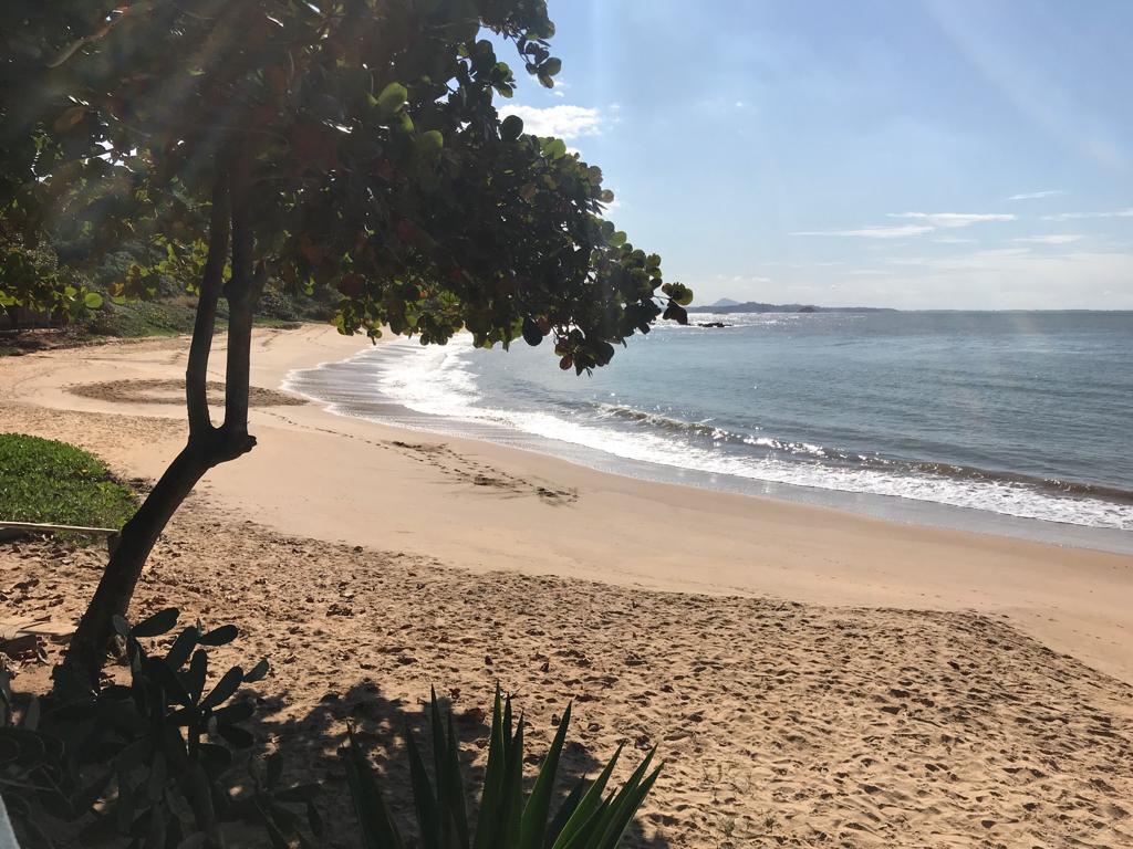 Photo de Praia do Martinho avec un niveau de propreté de très propre
