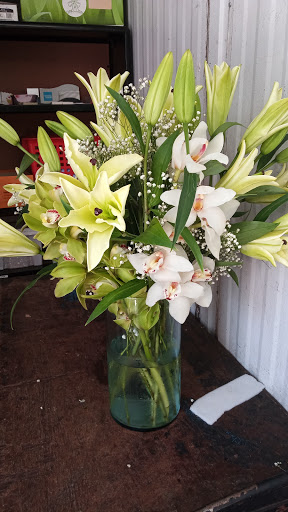 Florist «The Flower Place», reviews and photos, 860 NE 79th St, Miami, FL 33138, USA