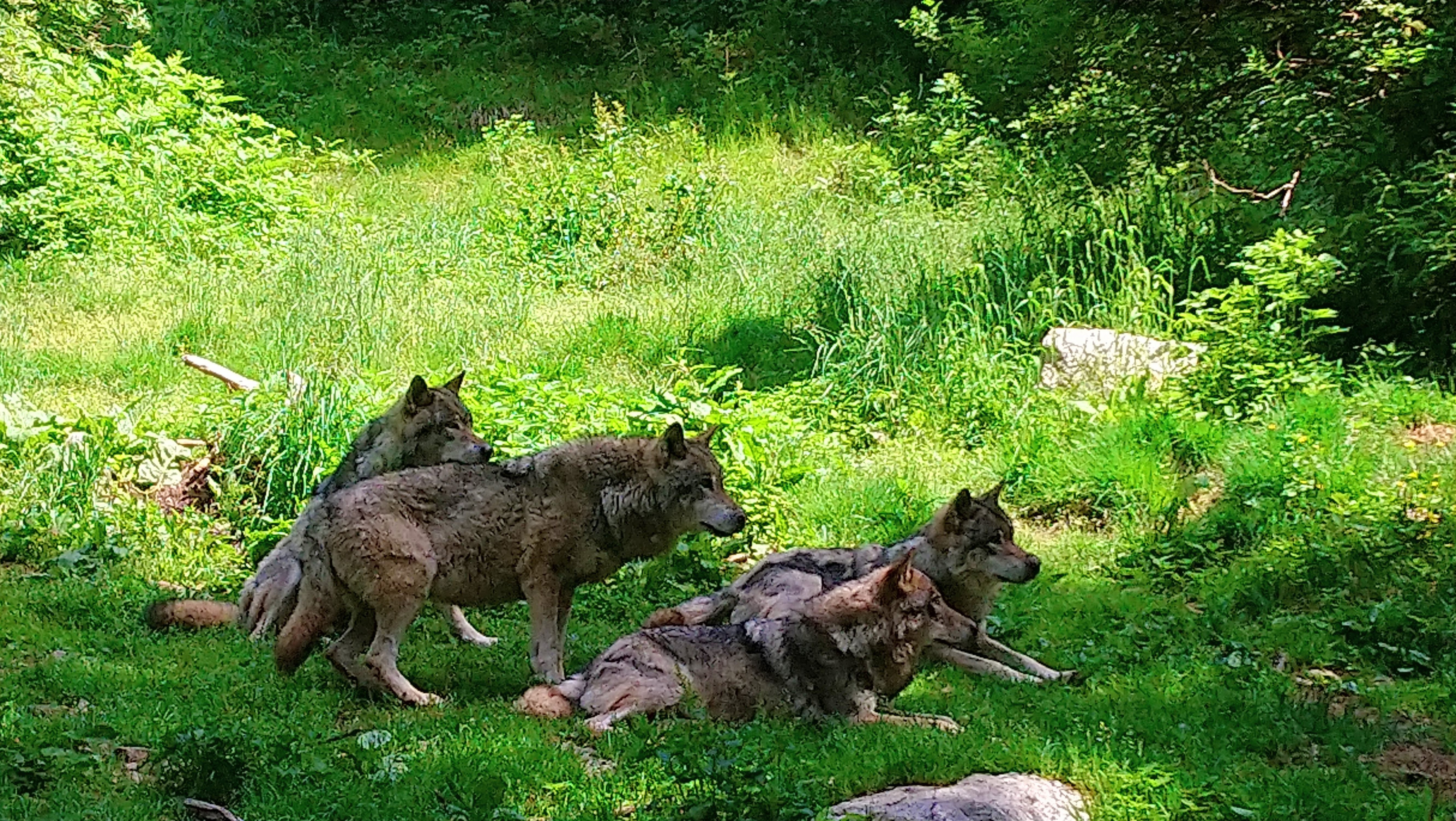 Photo n° 13 de l'avis de CHRISTOPHE. fait le 02/08/2019 à 07:51