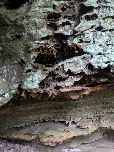 Tourist Attraction «High Rock Adventures - Hocking Hills Ecotours», reviews and photos, 10108 Opossum Hollow Rd, Rockbridge, OH 43149, USA
